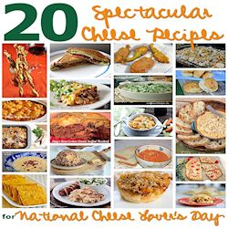 20 cheese recipes 250