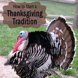 Start a Thanksgiving Tradition 250